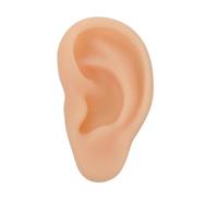 Beatifufu Modelo de Oreja Médica de Silicona Realista para Enseñanza Modelo de Oído Artificial Flexible Práctico para Estudiantes y Profesionales Salud Color Piel Mano Alzada para Práctica