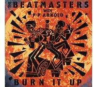 BEATMASTERS WITH PP ARNOLD - BURN IT UP 7 INCH (7" VINYL 45) UK RKG 1988