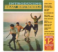 Beau Brummels - Introducing the Beau Brum