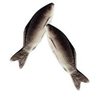 Beaupretty 2 Piezas Almohadas Decorativas Simuladas de Pescado Cojines Suaves de Peluche Forma de Pez para Sofá Dormitorio y Oficina Juguetes Falsos para Regalos Creativos