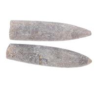 Beaupretty 2 piezas Especímenes de Belemnite Natural para Enseñanza y Decoración Fósiles Auténticos de Mineral Adornos Educativos para Entusiastas de Geología y Paleontología