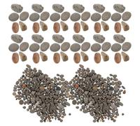 Beaupretty Bolsa de 50g de Piedras Naturales para Mesa de Arena Apariencia Realista, Decoración de Roca para Mini Paisajes y Diseño de Dioramas
