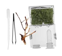 Beaupretty Caja Terrario Transparente para Reptiles de Acrílico con Pinzas y Gotero Recinto Portátil para Pequeños Insectos y Arácnidos Resistente y Fácil de Limpiar para Cría y Observación