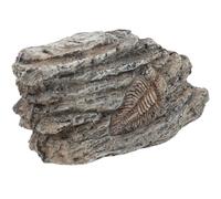 Beaupretty Espécimen de Trilobite de Resina Paleontológico Pequeño para Colección y Decoración Científica, Adorno Educativo Multipropósito para Tanque de Reptiles y Enseñanza