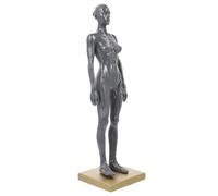 Beaupretty Modelo Anatómico de Músculos Femeninos 30 CM de Resina Gris Medio Busto para Dibujo Artístico y Enseñanza de Anatomía Figura Educativa del Sistema Muscular Color Color Aleatorio