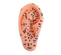 Beaupretty Modelo De Acupuntura Auricular Para Enseñanza Con Puntos De Acupuntura Oreja De Silicona Suave Para Práctica De Medicina y Masaje Terapéutico