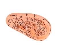 Beaupretty Modelo de Acupuntura Auricular Reutilizable con Puntos Precisos para Masaje y Enseñanza de Medicina China
