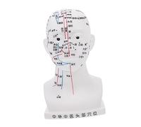 Beaupretty Modelo Punto Acupuntura Modelo Acupuntura Cabeza Médica Modelo Masaje Cabeza Humana Médico Polivinilo Modelo Cabeza
