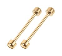 Beaupretty Pasadores de Repuesto para Correas de Reloj de Acero Inoxidable, Varillas de Conexión Roscadas de 20 Mm Doradas, Kit de 2 Unidades para Reparación y Reemplazo de