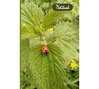 Beautiful 120-Page Lined Ladybird Paperback Notebook 6x9 A5: Original Insect Nature Photography