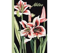 Beautiful Amaryllis Flower Blooms Notebook: Big Florals Design Notepad