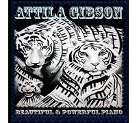 beautiful and powerful piano