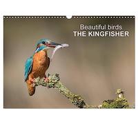 Beautiful birds THE KINGFISHER (Wall Calendar 2026 DIN A3 landscape), CALVENDO 12 Month Wall Calendar: Photographs of kingfishers