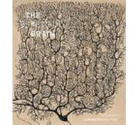 Beautiful Brain: The Drawings Of Ramon Y Cajal