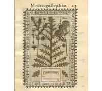Beautiful composition notebook : College Ruled 100 Pages - 7.5" x 9.25": A beautiful notebook with a very old Herbarium illustration from 1616 (plants series blue cliff)