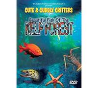 Beautiful Fish of the Kelp Forest [Reino Unido] [DVD]