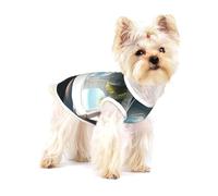 Beautiful house in the morning - Camiseta de alta calidad para perro, ropa suave 100% algodón para perros, perfecta para perros pequeños a medianos, camisas elegantes y cómodas para perros, talla M