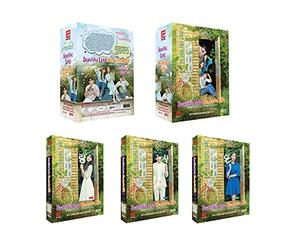 Beautiful Love Wonderful Life Spanish TV Series - Drama DVD With English Subtitles(NTSC - All Region)