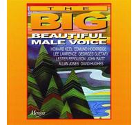 Beautiful Male Voice