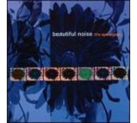Beautiful Noise-Apocalypse
