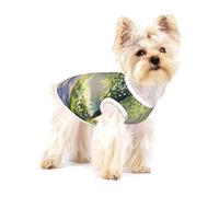 Beautiful Paths in the Forest - Camiseta de alta calidad para perro, ropa suave 100% algodón para perros, perfecta para perros pequeños a medianos, camisas elegantes y cómodas para perros, talla M