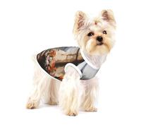 Beautiful Pylons in the Distance - Chaleco de algodón para perro, talla L, transpirable, cómodo y elegante para mascotas