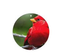 Beautiful Red Birds - Juego de ambientador colgante, tarjetas redondas de fragancia de lavanda para interiores de automóviles, paquete de 10/24 tarjetas
