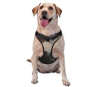 Beautiful Woman In Green Dress - Arnés para perro, ajustable, reflectante, Oxford, fácil control, tamaño mediano y grande