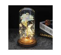 Beauty And The Beast Mother"s Day Rose Led Enchanted Rose Eternal Flower Lights In Dome for Christmas Valentine"s Day Gift