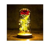 Beauty And The Beast Rose, Eternal Rose In Glass Rose In Glass Dome Artificial