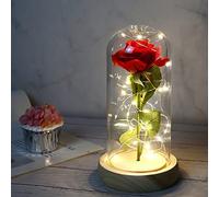 Beauty and The Beast Rose, Forever Rose Flores en Domo transparente con Tira de luz LED, para el día de San Valentín, Aniversario de Bodas, día de la Madre, decoración de la Oficina en el hogar