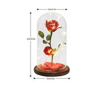 Beauty and the Beast Rose, Rose LED Light Glass Rose Glass Dome and Red Silk Rose Decoration Valenti