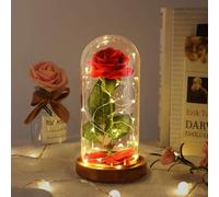 Beauty and the Beast Rose Valentines Day Regalos para mujeres Regalos de cumpleaos para mam Rose en Rose en Glass Dome Eternal Rose Flower Rega