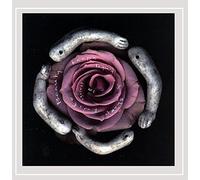 Beauty Keeps Laying It's Sharp Knife Against Me