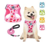 BEAUTYZOO Arnés de Paso y Conjunto de Correa para Perro, Arnés Reflectante para Perro Sin Tirar Sin Ahogar, Arnés para Cachorro para Perros Pequeños Medianos y Grandes Gatos, Chaleco de Malla