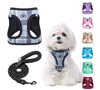 BEAUTYZOO Juego de arnés y Correa para Perro pequeño, sin tirones, arnés de Malla Suave Reflectante para Cachorros y Gatos Extra pequeños/pequeños y medianos, arnés de Chaleco a Cuadros para Mascotas