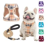 BEAUTYZOO Juego de arnés y correa para perros pequeños, arnés de malla suave reflectante sin estrangulamiento ni tirones para cachorros extra pequeños/pequeños y medianos y gatos, arnés de chaleco a
