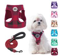 BEAUTYZOO Juego de arnés y correa para perros pequeños, sin calza, sin tirones, medianos, chaleco a cuadros para mascotas XS S