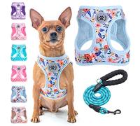 BEAUTYZOO Juego de arnés y correa reflectante para perro, sin tirones, sin estrangulamiento, XXS-XS-S, lavable a máquina, malla acolchada suave, correa de 5 pies, adecuado para perros y gatos pequeños