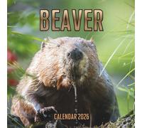 Beaver Calendar 2026: 14-Month Organizer from Nov 2025 to Dec 2026 | Perfect for Home, Office, School & Family Scheduling, For Men , Women , Girls , Boys