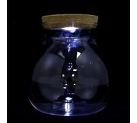 Beavorty Botella de Paisaje para Pecera Luz LED, Florero Transparente Decorativo DIY para Micropaisaje