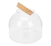 Beavorty Botella de Vidrio Transparente Corcho, Terrario Ecológico de Micropaisaje DIY, Recipiente Decorativo para Plantas, Jarrón de Cristal para Jardinería en Interior, Decoración