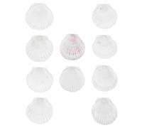 Beavorty Conchas Marinas Grandes Auténticas para Hornear y Servir, 10 Piezas para Manualidades y Decoración en Eventos Familiares