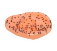 Beavorty De Acupuntura Auricular Para Entrenamiento De Reflexología y Masaje Simulación Realista De Oído Herramienta De Aprendizaje Para Medicina y Enfermería