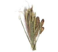 Beavorty Manojo de Flores Secas de Alta Pampa para Jarrón, Mezcla de Cañas y Junco Natural, Decoración Rústica para Hogar, Salón y Eventos, Relleno de Jarrón Hierba Pampa Falsa, Accesorios