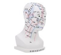 Beavorty Modelo de Cabeza de Acupuntura Modelo de Puntos de Acupuntura de Cabeza para Enseñanza y Masaje Facial Estudios de Medicina Tradicional