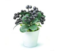 BEAZOOM Planta artificial de acebo de arándanos en maceta con bayas rojas, decoración de frutas artificiales de plástico de 22 cm con hojas realistas para estante de sala de estar (4)