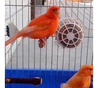 BEAZOOM Soporte reutilizable para anidación de pájaros con mezcla de algodón y yute, accesorio de jaula Twist-Fix para pinzones de canarios (paquete de 5)
