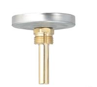 BEAZOOM Termómetro bimetálico de 63 mm, funda de latón de acero inoxidable para caldera de calefacción estufa barbacoa
