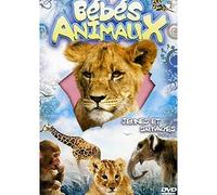 Bebe animaux, jeunes et sauvages, vol. 1 : de la naissance aux premiers pas [Francia] [DVD]